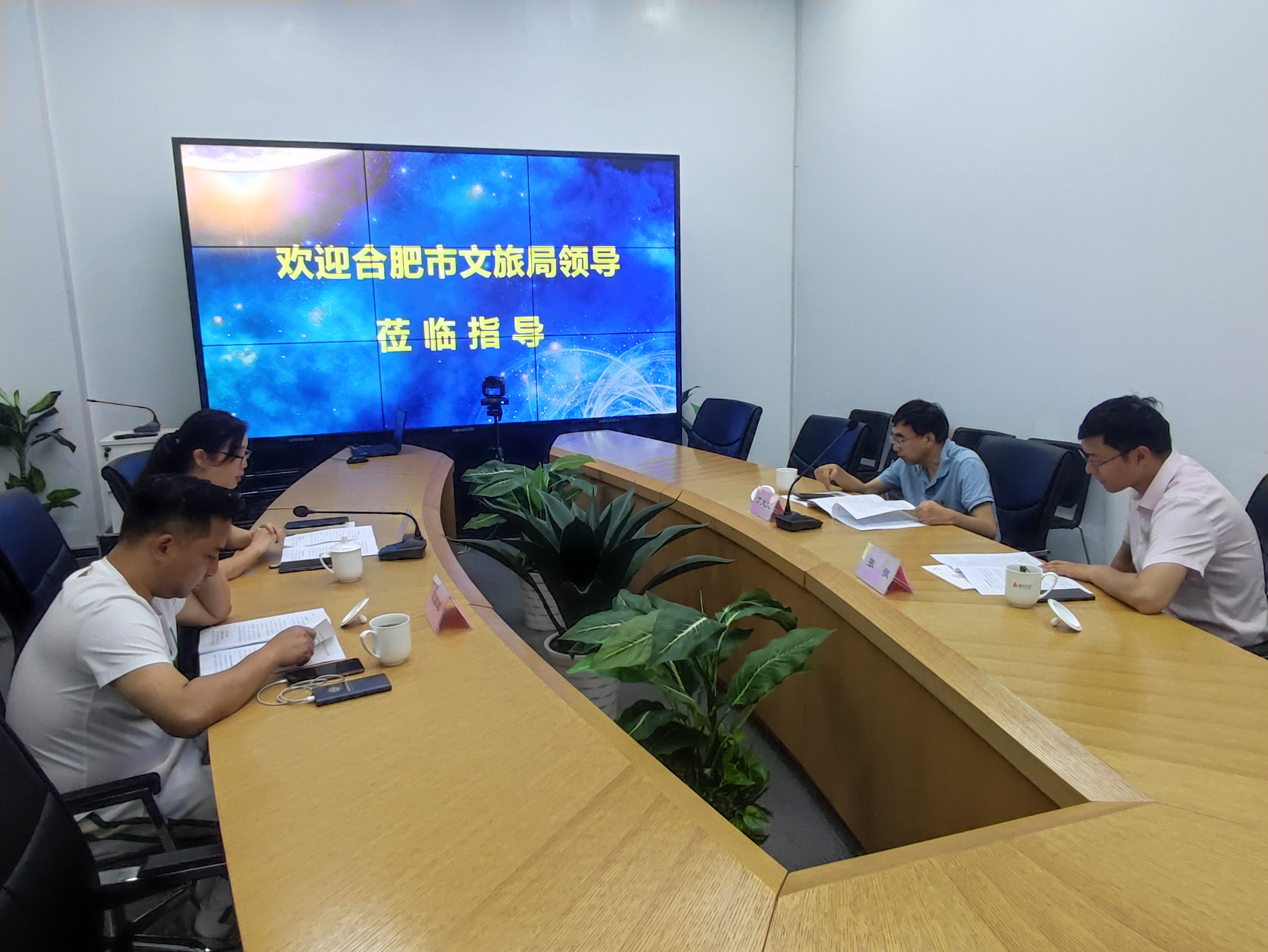 合肥市文化旅游局丁大文處長一行蒞臨建華文創(chuàng)集團(tuán)調(diào)研